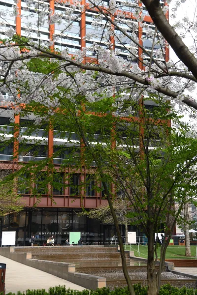 DSC_6861 (Large).JPG